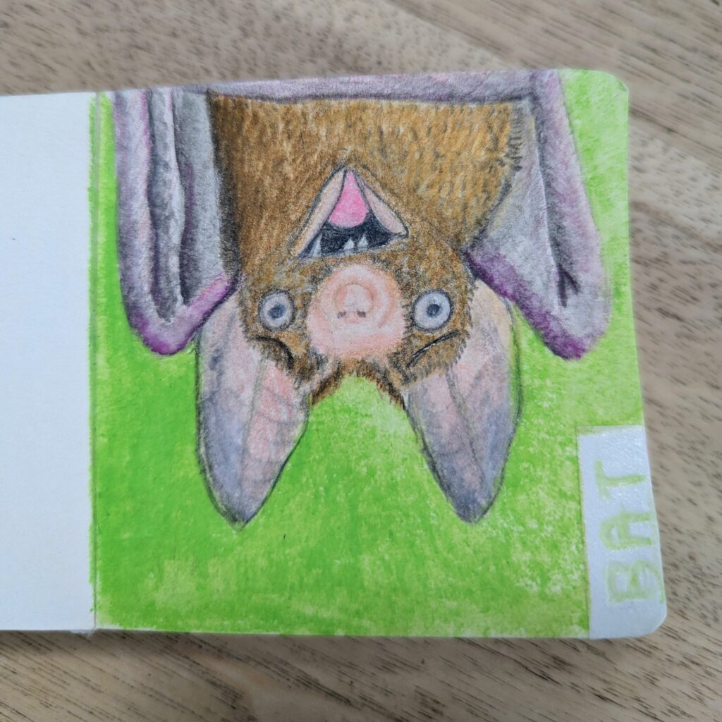 Bat that just wants to explain themself in aquarelle and graphite