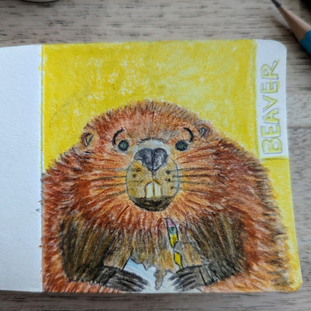 Anxious beaver in aquarelle and graphite