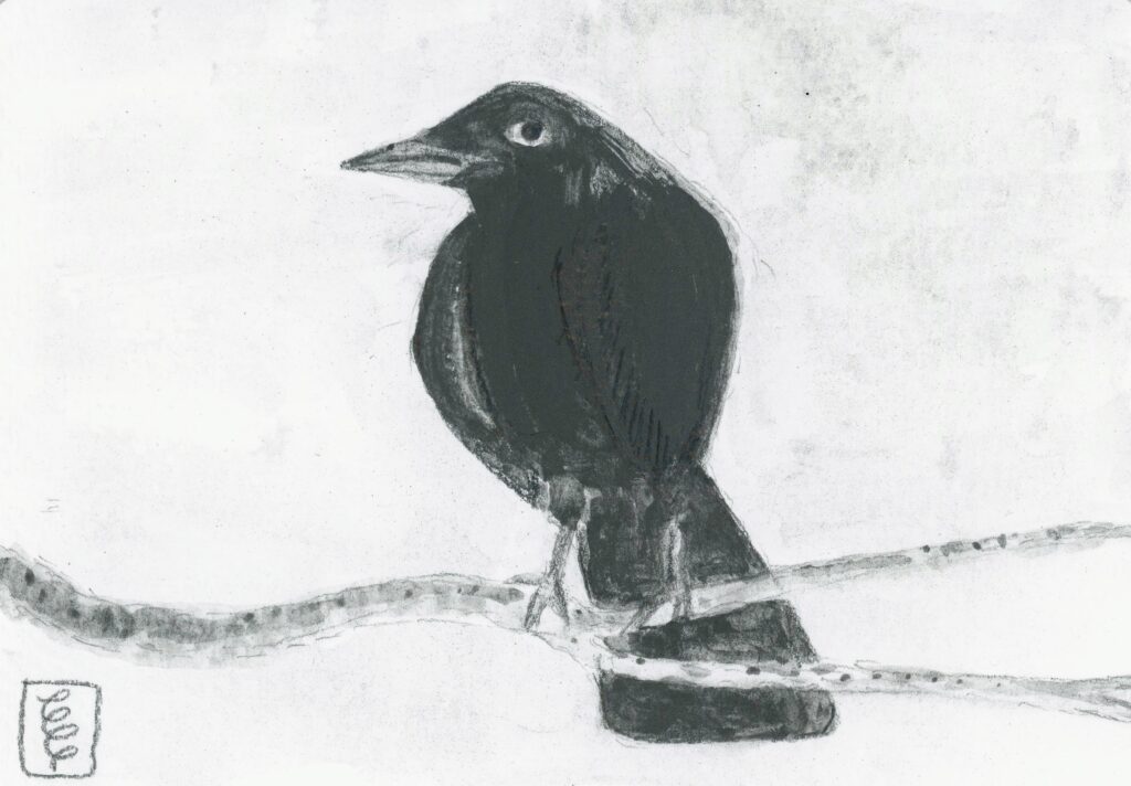 Graphite crow with Mona Lisa expression